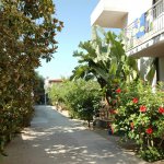 Residence Limoneto - Ricadi Capo Vaticano - Vibo Valentia - Calabria