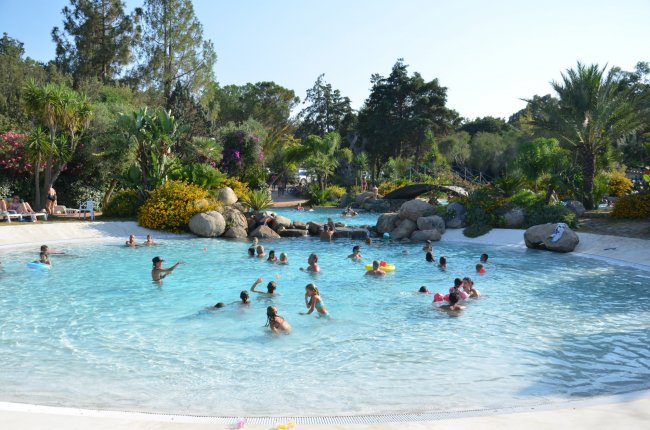 Persone che nuotano in una piscina all'aperto circondata da piante tropicali.