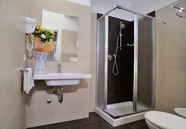 Bagno con lavabo, doccia e vasi di fiori.