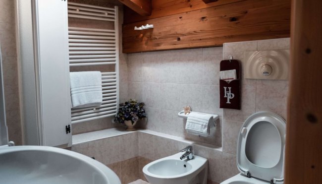 Bagno accogliente con bidet e decorazioni.