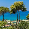 Vista del mare azzurro con alberi alti in primo piano.