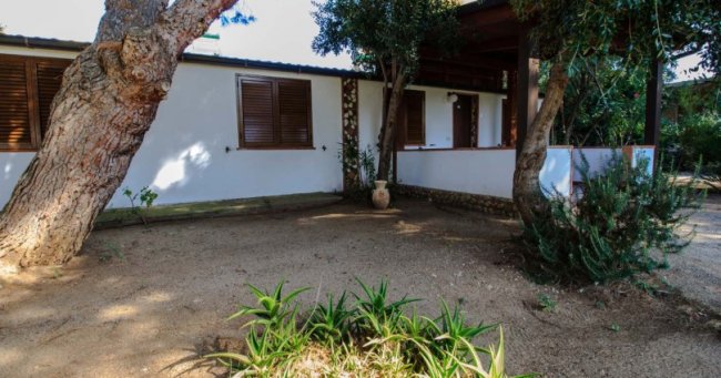Cortile con piante e alberi vicino a una casa bianca con persiane marroni.