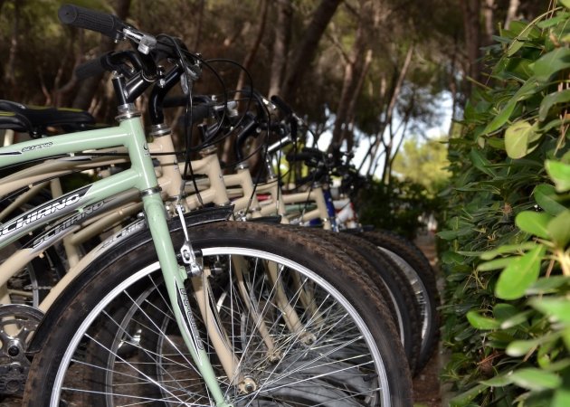 Biciclette allineate accanto a una siepe verde.