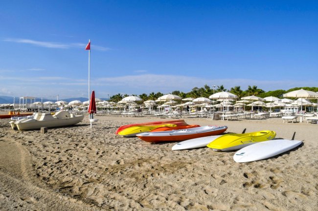 Tavole da surf colorate sulla sabbia vicino a ombrelloni.