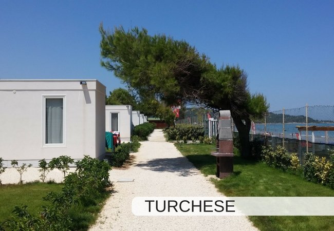 Sentiero tra bungalow bianchi e alberi curvi.
