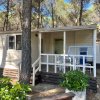 offerte Camping Village Riva Dei Greci - Metaponto - Basilicata