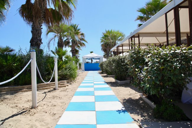 Vialetto bianco e azzurro tra palme e cespugli.