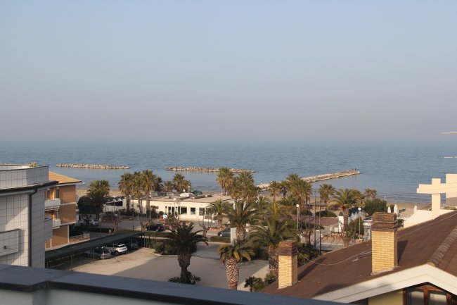 Vista mare, palme e edifici in primo piano.