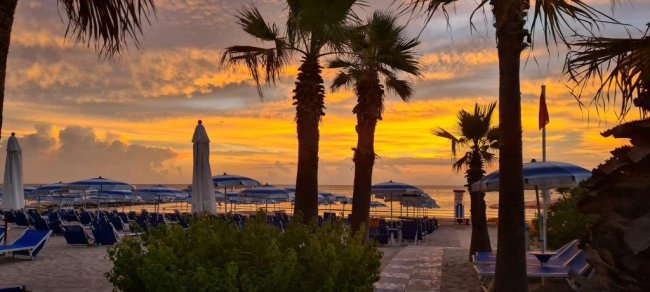 Tramonto colorato su spiaggia con palme.