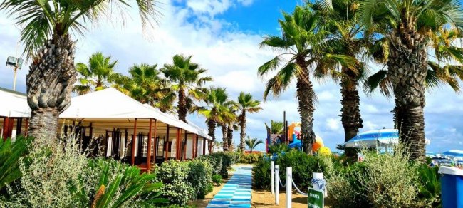 Vialetto con palme e gazebo sulla spiaggia.